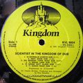'Scientist in the Kingdom of Dub' [Vinyl] 1981