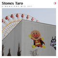 DIM231 - Stones Taro
