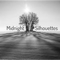 Midnight Silhouettes 12-6-20