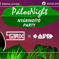 WarmUp Mix Pálos Night [2020. 07. 04. ]-DjNikky