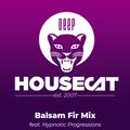 Deep House Cat Show - Balsam Fir Mix - feat. Hypnotic Progressions