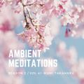 Ambient Meditations Season 2 - Vol 41 - Kumi Takahara