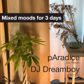 dublab.jp Radio Collective #258 “Mixed moods for 3 days” by pAradice, DJ Dreamboy (21.5.5)