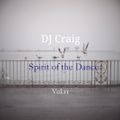 Spirit Of Dance Mix (Volume 11)