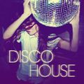 Disco House Mix by Mr. Proves