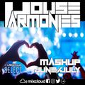 House Harmonies - Mashup Mix June & July