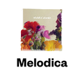 Melodica 22 June 2015