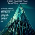 Ambient Treasures vol.14 (Blurred Visions)