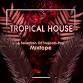 Tropical Pop Mix 2017 - Matt Nevin