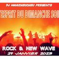 DJ MANUCHEUCHEU PRESENTS L'ESPRIT DU DIMANCHE SOIR ( ROCK & NEW WAVE ) 29 JANVIER 2023