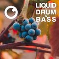 Liquid Drum and Bass Sessions  #42 [April 2021]