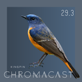 Chromacast 29.3 - Kingpin