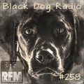 A Few Tunes with Black Dog Radio #258