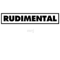 Rudimental - The Dance Megamix 2018