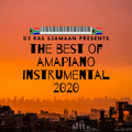 The Best Of Amapiano 2020 Instrumental - DJ Ras Sjamaan