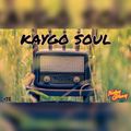 Feeling Groovy Sessions 028 - Mixed By Kaygo Soul