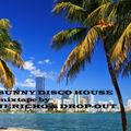 SUNNY DISCO HOUSE mixtape by JERICHO & DROP-OUT