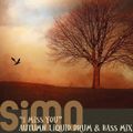 SIMO "I miss you" Autumn Liquid Drum & Bass Mix