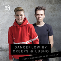 Danceflow Radioshow #29 (1st hr)