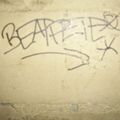 BeatPete - Basic Instinct - Mix - 2010