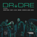 DJ C Stylez - Dr. Dre Pre-Bowl Halftime Mix