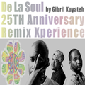De La Soul 25th Anniversary Remix Xperience