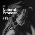 Natural Process #19