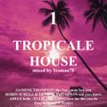minimix TROPICAL HOUSE 1 LEVI (Jasmine Thompson, Robin Schulz, Adele, Ellie Goulding,sun goes down)