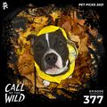 377 - Monstercat Call of the Wild (Pet Picks)