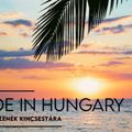 Made in Hungary – Hazai slágerek 120 percben, S. Miller Andrással. www.poptarisznya.hu  2022-07-06.