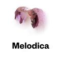 Melodica 23 May 2016