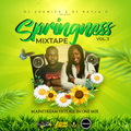 DJ Chemics x DJ Kayla G - SPRINGNESS Vol.3 (2020) I Mainstream Hits Mixtape l @Riddimstream