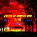 dj GT - Voices Of Autumn 2016 (Midnight)