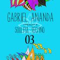 Gabriel Ananda Presents Soulful Techno 03 - Gabriel Ananda and Tiger Rose