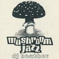DJ Heather- 'Hydro' Mushroom Jazz mixtape- 1997