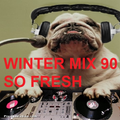 Winter Mix 90 - Podcast 14+15 (Double the Mix Double the Fun)
