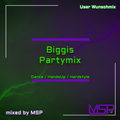 User Wunschmix - Biggi's Partymix