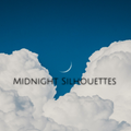 Midnight Silhouettes 8-4-22