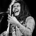 Bob Marley and the Wailers - 1978-07-07 Ahoy Rotterdam Pitch Corrected Remastered Definitive