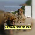 Big Summer Weekend : Four O'Clock From The Rock : 9th June 2018 1800GMT