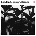 DIM086 - London Modular Alliance