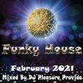 Pleasure Provida - Funky House Mix February 2021