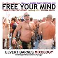 FREE YOUR MIND Classic Trance / Gay Circuit (18th Winter Party Festival) January 2012 Mix