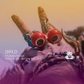 Diplo - Robot Heart 10 Anniversary - Burning Man