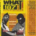 Roc Raida - What187 FM (side a)