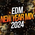 Mix Mechanic - POP+EDM - New Years Eve Megamix 2024 (Part 2)