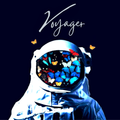 Voyager - Liquid 11