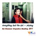 Everything But The Girl - Missing (DJ Hammer Organica Bootleg 2011)