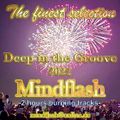 Best of Deep in the Groove 2022