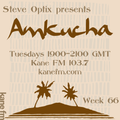 Steve Optix Presents Amkucha on Kane FM 103.7 - Week Sixty Six